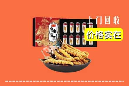 保定顺平县回收虫草
